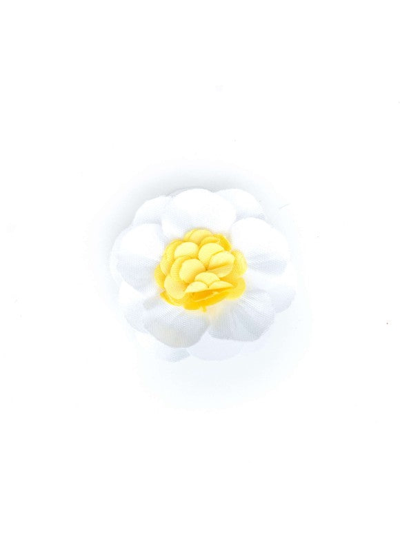 White 3/4 Dahlia Flat/Yellow