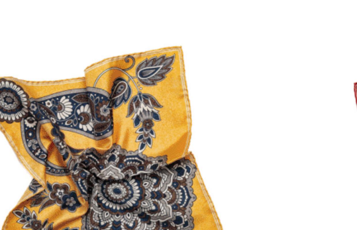 SS3991 Paisley Medallion Pocket Square