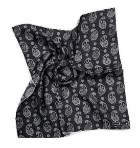 SS4491 Paisley Pocket Square