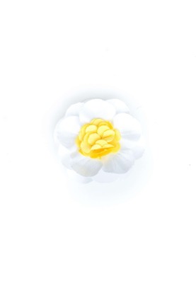 White  3/4 Dahlia Flat/Yellow   