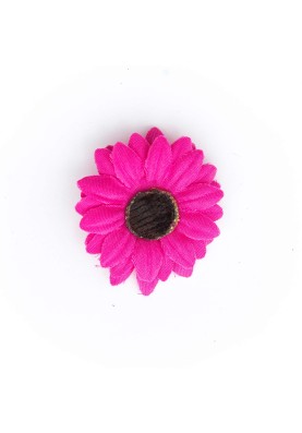  Hot Pink Baby Daisy/Vintage 