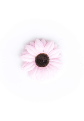  Light Pink Baby Daisy/Vintage 