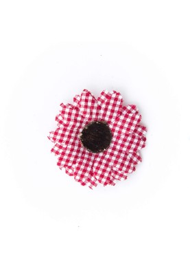 Red Gingham Baby Daisy/Vintage  