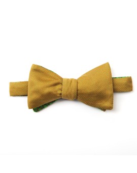 Green/Orange Pins/Links Reversible Bow Tie 
