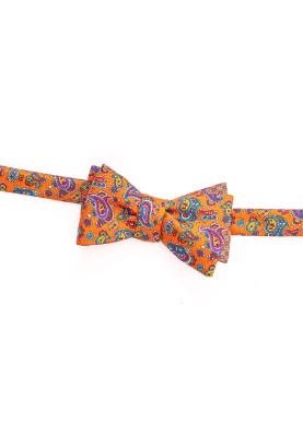 Orange Paisley/Neat Reversible Bow 