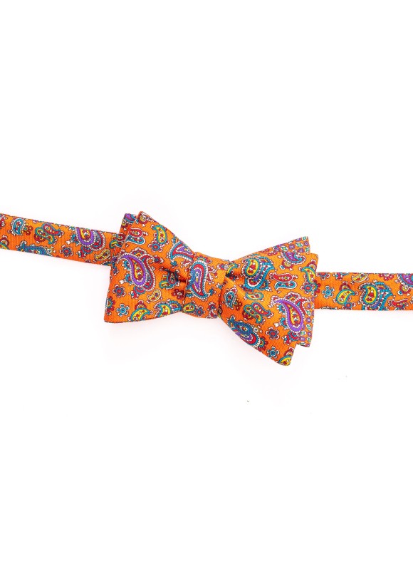 Orange Paisley/Neat Reversible Bow