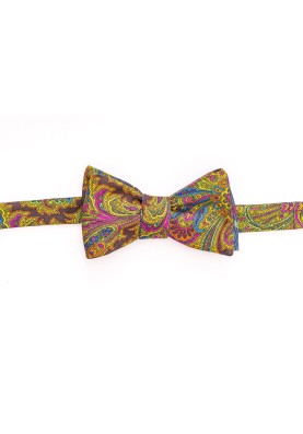 Brown/Blue Paisley/Plaid Reversible Bow 