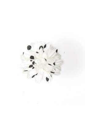 White/Black Dots Daisy Boutonniere/Lapel Flower 