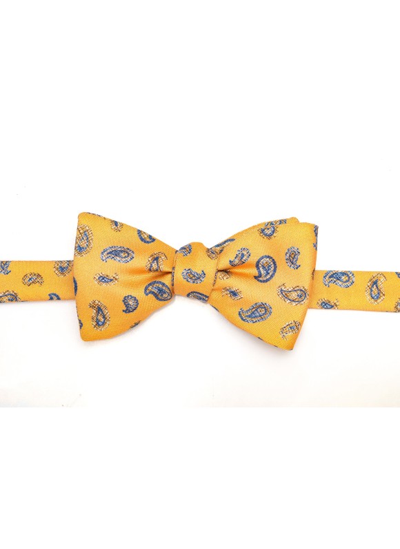 Orange/Blue Paisley Silk Bow