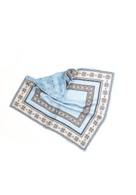 Lt. Blue/Brown Frame Design/Horseshoe Print Reversible Pocket Square 