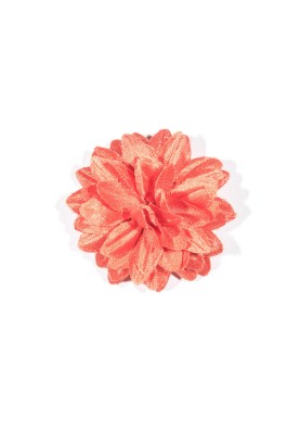 Orange Boutonniere/Lapel Flower 